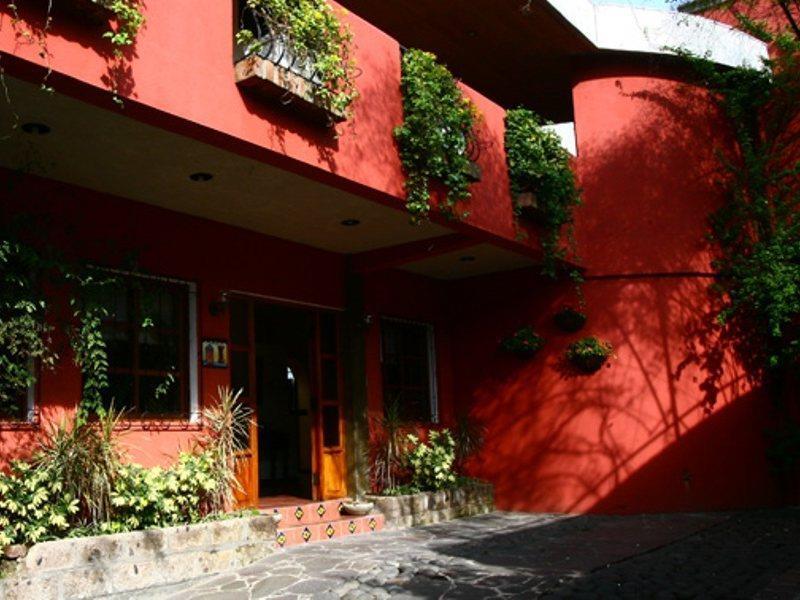 Hotel Arbol De Fuego San Salvador Extérieur photo